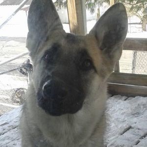 Meet your Posher, Skyler